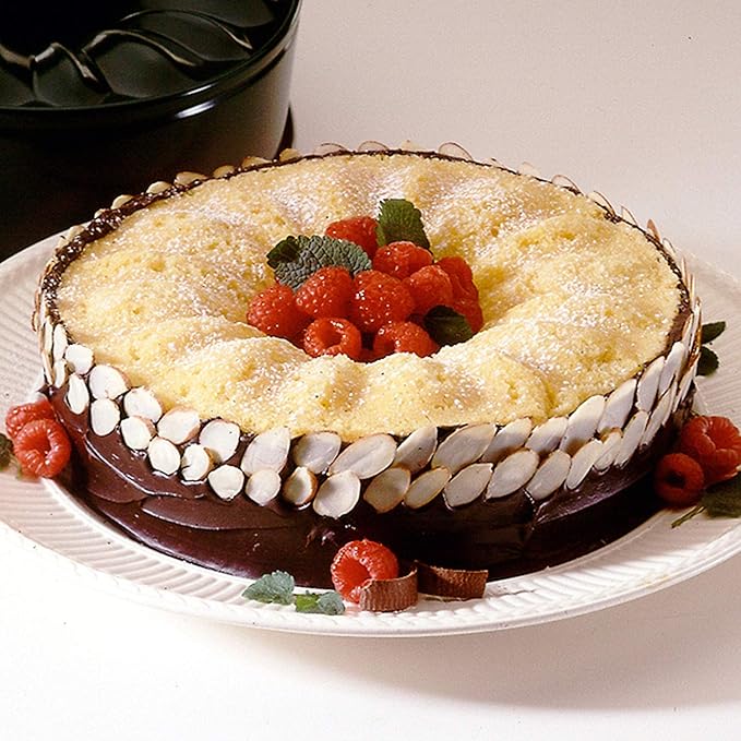 Gray 9 Inch Springform Bundt Pan, Heavy Duty Cheesecake & Ice-Cream Cake Pan with Removable Bottom and Quick-Release Latch