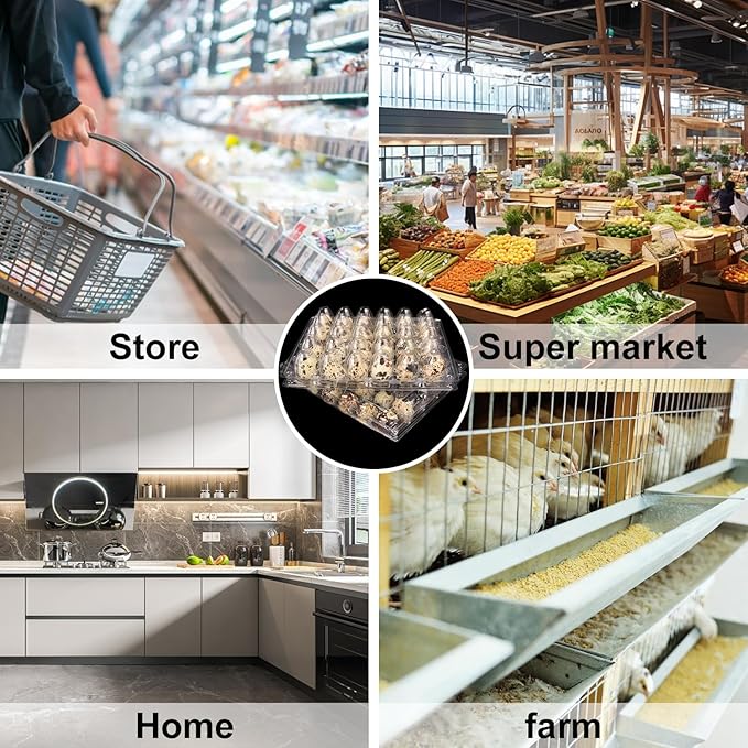 100 Pack Quail Egg Cartons, Clear Plastic Quail Egg Trays, Holds up to 30 Quail Eggs Securely - Your Ultimate Small Eggs Carton Holders for Bulk Storage and Display by KUKLIPJIM