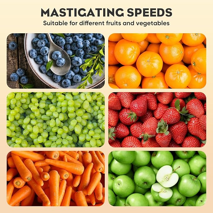 Masticating Juicer Attachment for KitchenAid Stand Mixer, Masticating Juicer, Slow Juicer Attachment for Kitchen Aid with Dual Feed Chute and Push Rod for Vegestables Fruits By Hozodo