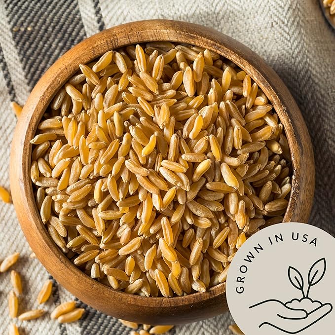 Be Still Farms Organic Kamut Wheat Berries Khorasan (4.8lb) - Ancient Whole Grain Bulk - Ideal for Flour, Pasta, Salads, Soups - High in Fiber & Protein | USA Grown | USDA Certified | Vegan | Non-GMO