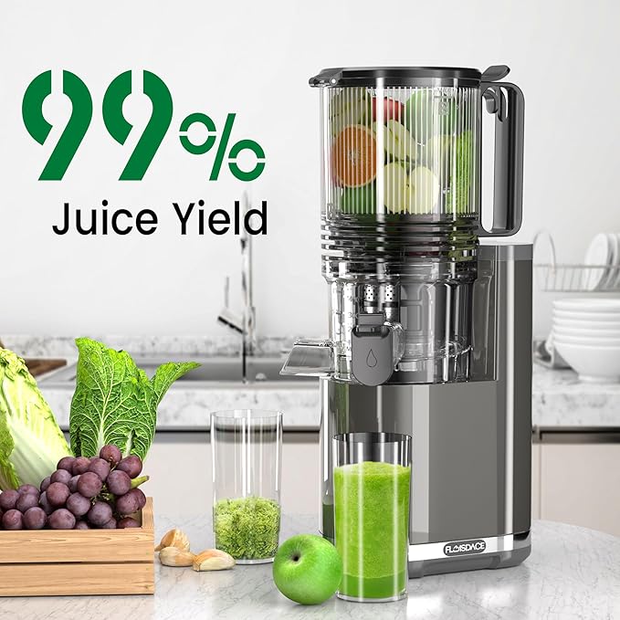 J8 Cold Press Juicer, 6.5" Extra Wide Feed Chute Juicer Machines, 350W Slow Juicer Machines with High Juice Yield for Whole Vegetables & Fruits, BPA Free (Titanium Gray)