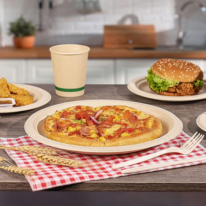 Gezond 100% Compostable Paper Plates 10 Inch 125 Pack Bulk Disposable Heavy-duty Plates Natural Biodegradable Sugarcane Bagasse Plate for Party Picnic