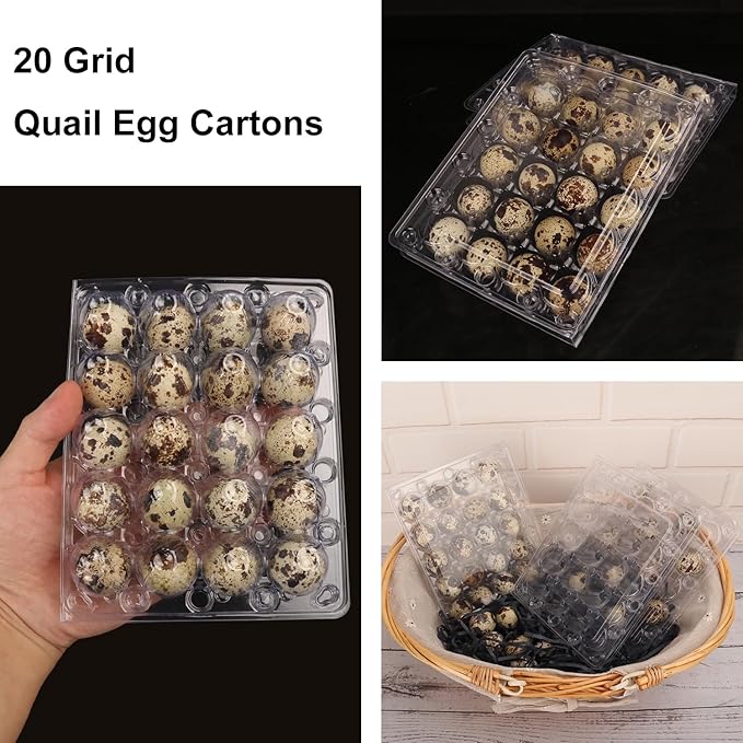 150 Pack Quail Egg Cartons, Clear Plastic Quail Egg Trays, Holds up to 20 Quail Eggs Securely - Your Ultimate Small Eggs Carton Holders for Bulk Storage and Display