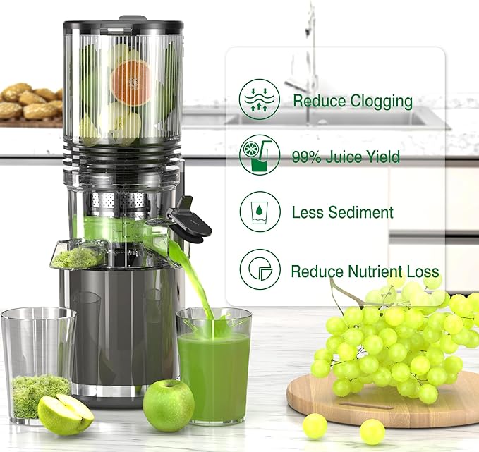 J8 Cold Press Juicer, 6.5" Extra Wide Feed Chute Juicer Machines, 350W Slow Juicer Machines with High Juice Yield for Whole Vegetables & Fruits, BPA Free (Titanium Gray)