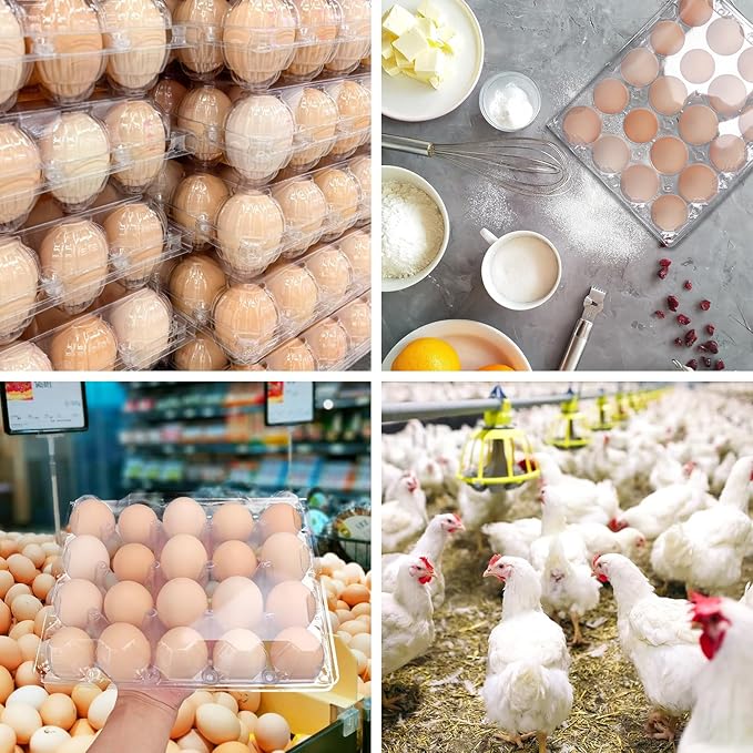 50 Pack Bulk Egg Cartons, Clear Plastic Chicken Egg Holders, Egg Tray Carton Holder for Home & Kitchen, Farm & Market Use, An Eco-Friendly Egg Storage Solution, 20 Grids(Medium Size)