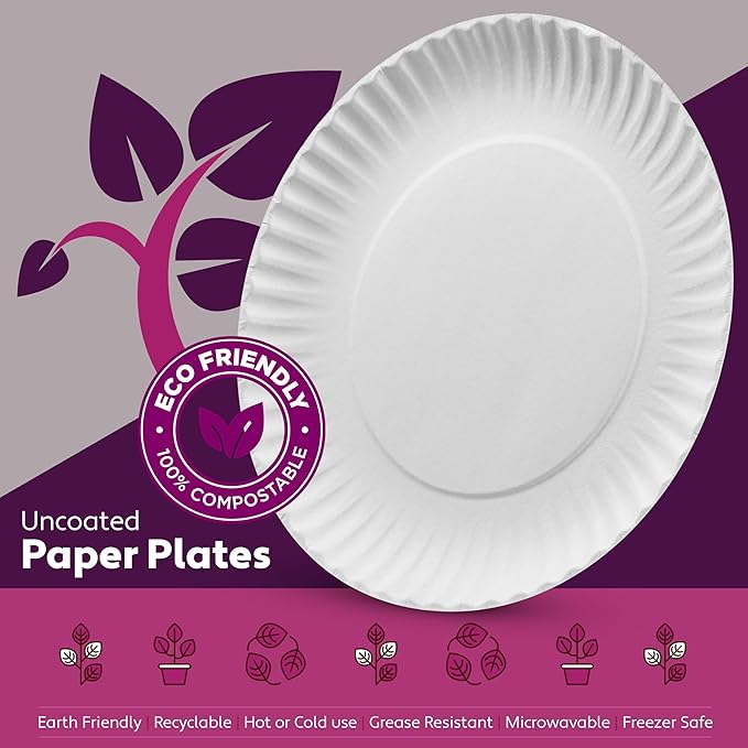 Munfix 500 Pack Uncoated Paper Plates 9 Inch, Everyday Disposable Plates, White Dinner Plates for BBQ Party, Picnics, Travel and Events, Microwavable Recyclable