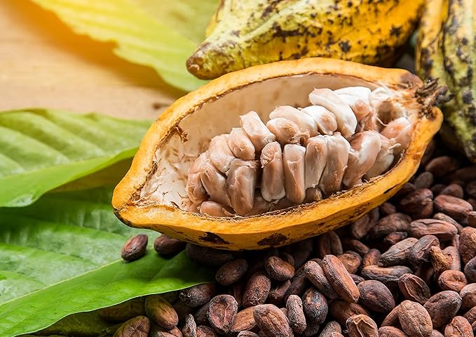 Food to Live Cacao Paste Wafers, 12 Ounces - Premium Raw Cacao Liquor, Pure, Unsweetened, Vegan, Bulk. Rich in Antioxidants, Essential Minerals. Perfect for Homemade Desserts, Chocolate Bars