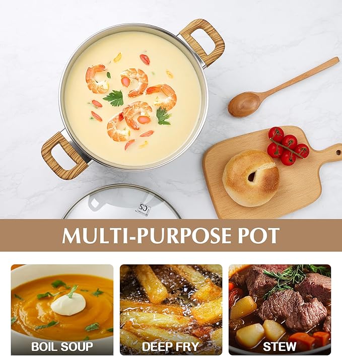 KOCH SYSTEME CS Stainless Steel Pot - 6 Quart Induction Stainless Steel Stock Pot with Lid for Pasta, Soup, Spaghetti, Steel Soup pots with Heat-Resistant Bakelite Double Handle, Dishwasher Safe