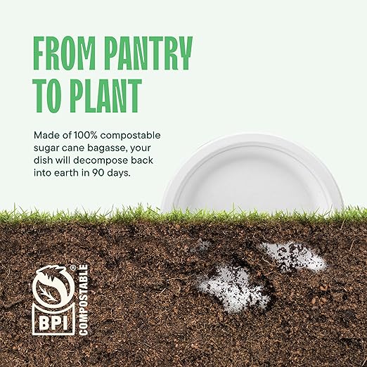 100% Compostable Paper Plates 10 Inch Bulk [500 Count] Heavy-Duty Dinner Plates - Natural White Color Unbleached Bagasse - Eco-Friendly Disposable Biodegradable Sugarcane Plates - [Case 4/125 Pack]