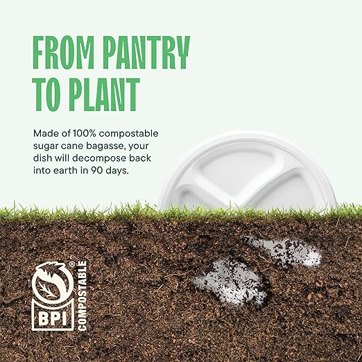 100% Compostable Paper Plates 10 Inch Bulk [500 Count] Heavy-Duty Dinner Plates with Compartments - Natural White Color Bagasse - Eco-Friendly Disposable Biodegradable Sugarcane - [Case 4/125 Pack]