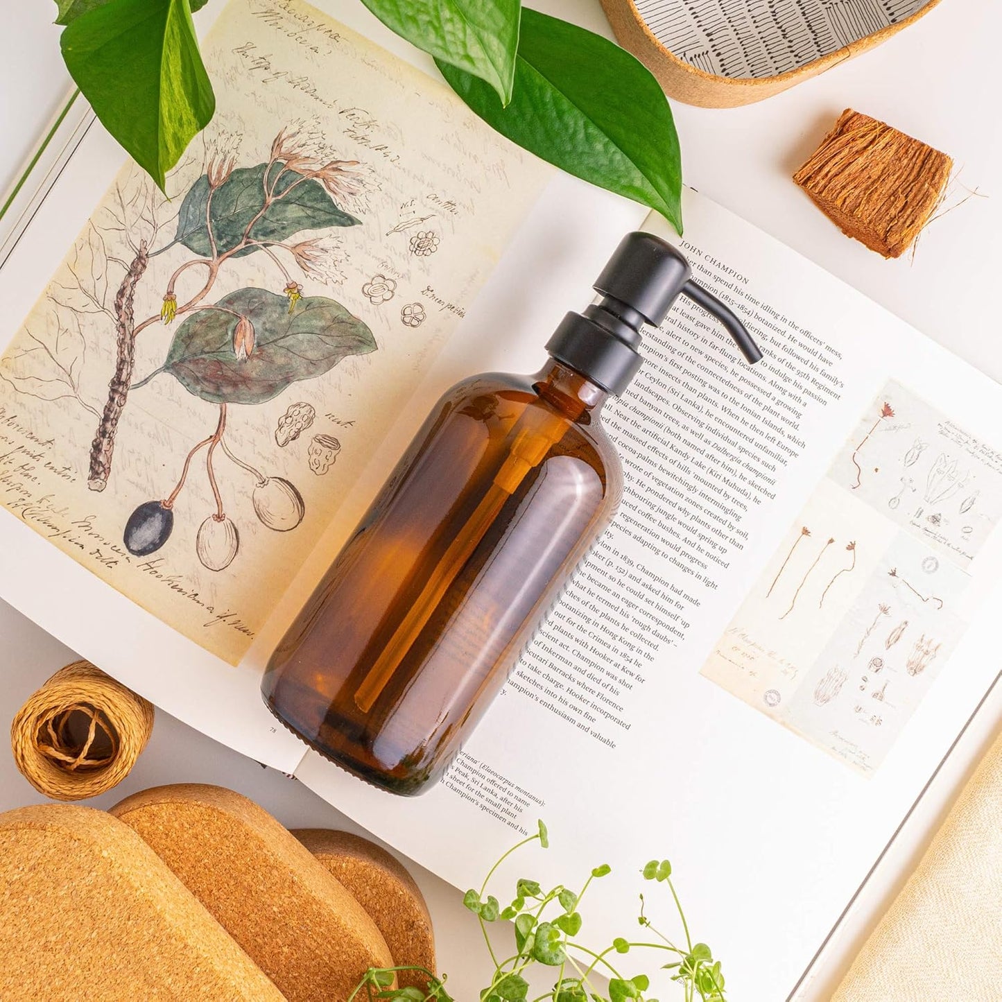 Vine Creations Amber Glass Soap Dispenser, 2 Pack Kitchen Soap Dispenser Set with Stainless Steel Pump, 16 oz Dish Soap and Hand Soap Dispensers for Bathroom with Waterproof Labels