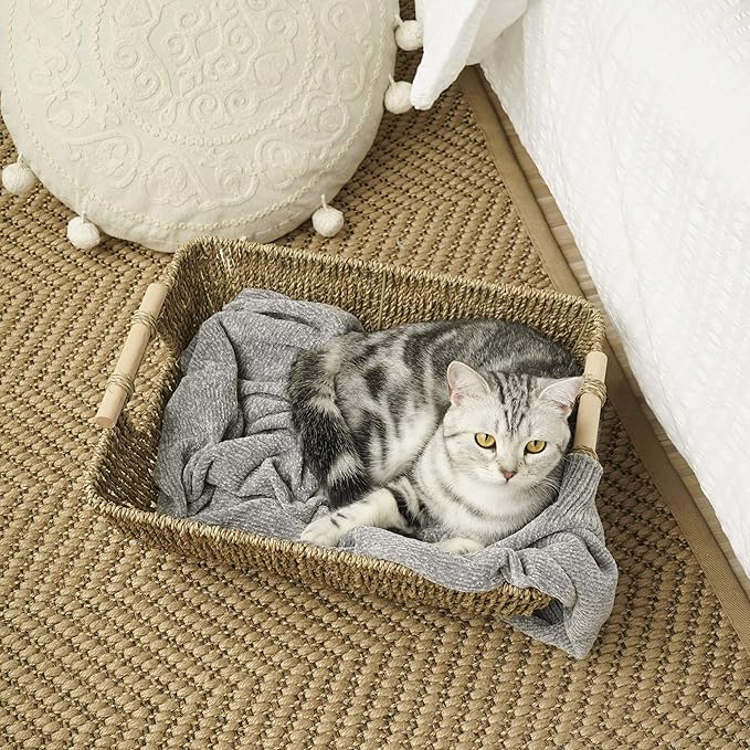 StorageWorks Hand-Woven Jumbo Storage Baskets with Wooden Handles, Seagrass Wicker Baskets for Organizing, 2-Pack