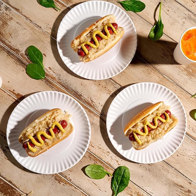 Munfix 500 Pack Uncoated Paper Plates 9 Inch, Everyday Disposable Plates, White Dinner Plates for BBQ Party, Picnics, Travel and Events, Microwavable Recyclable